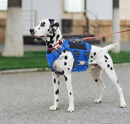 Maison Atlas — Elite No-Pull Tactical Harness