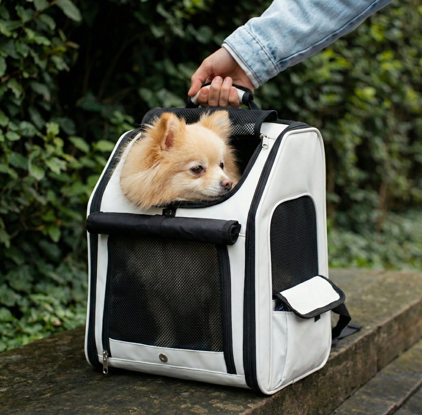 Maison Altitude — Expandable Pet Travel Backpack
