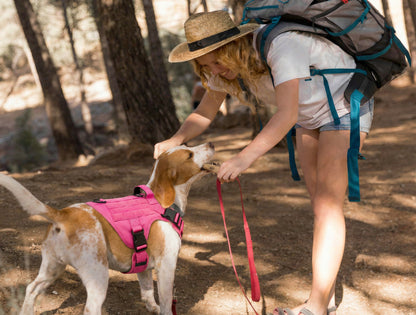 Maison Atlas — Elite No-Pull Tactical Harness