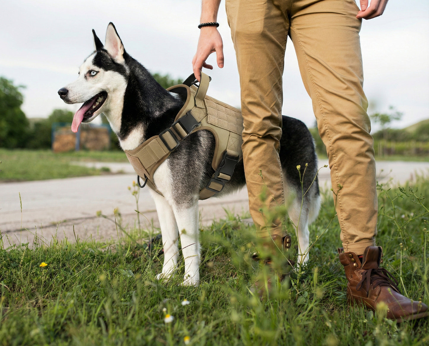 Maison Atlas — Elite No-Pull Tactical Harness