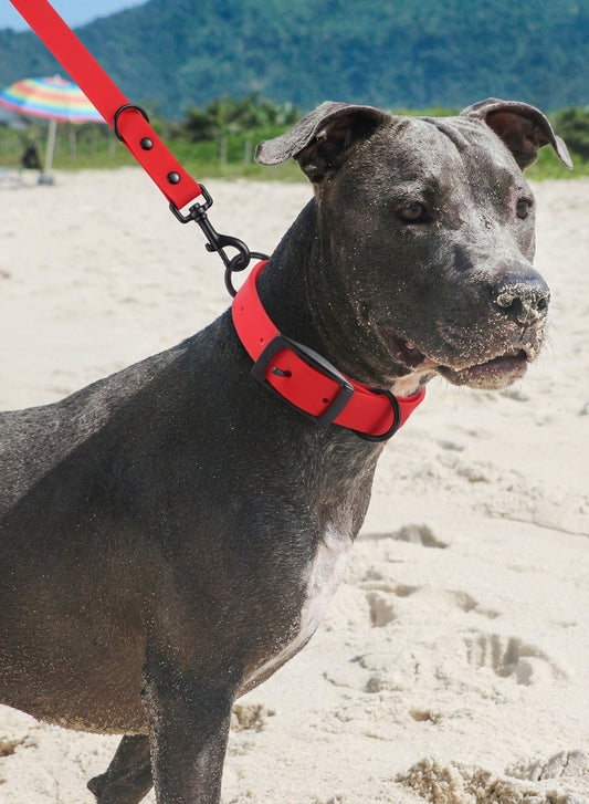 Maison Luxe — Silicone Collar & Leash Set