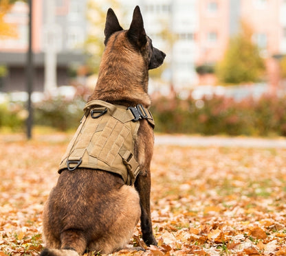 Maison Stealth — Camo Harness & Leash Set