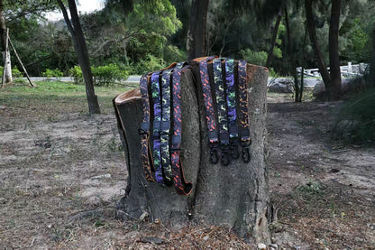 Maison Terrain — Camo Print Outdoor Leash Set