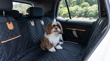 Maison Vue — Panoramic Mesh Seat Protector