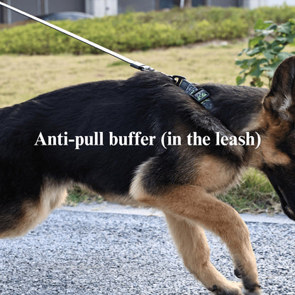 Maison Terrain — Camo Print Outdoor Leash Set