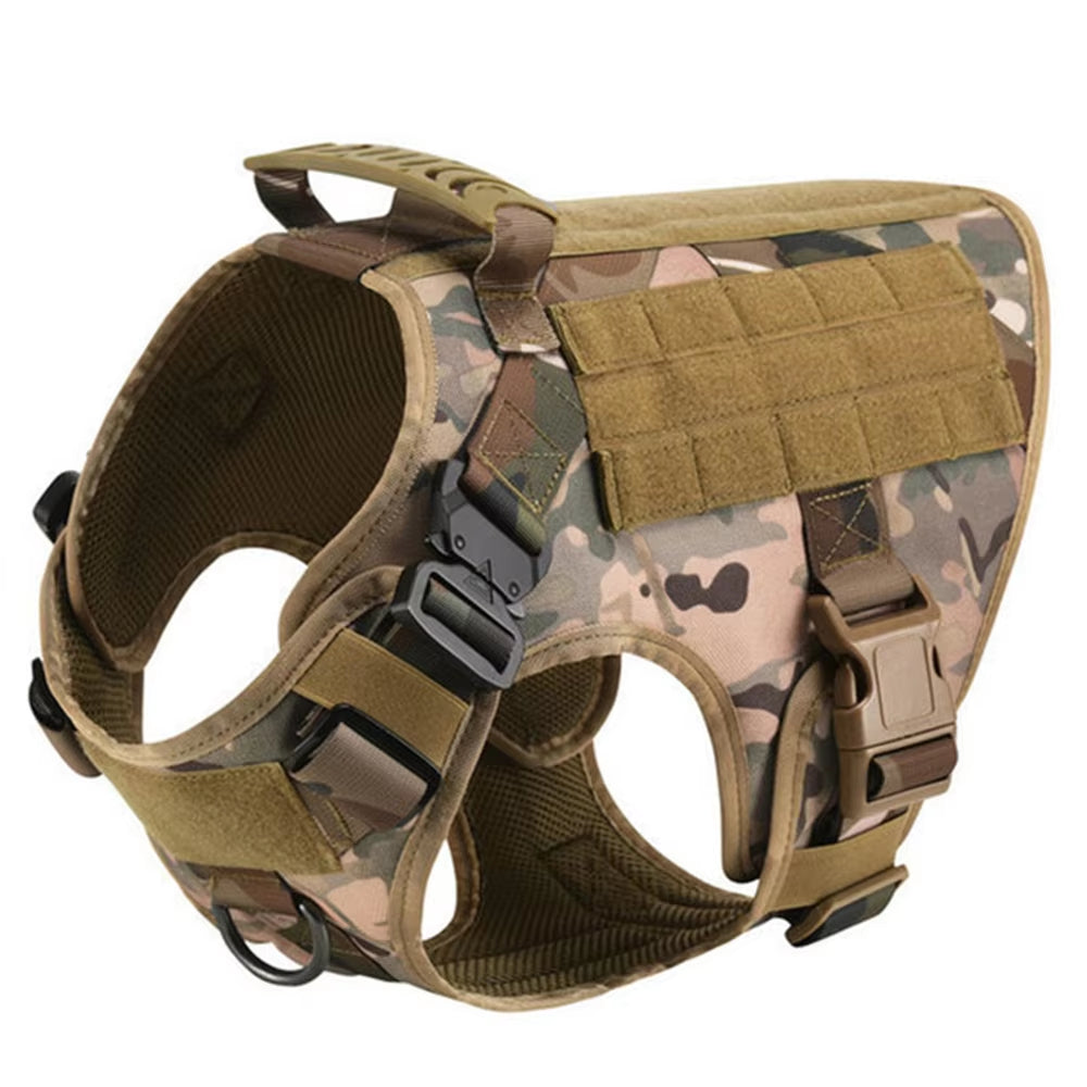Maison Stealth — Camo Harness & Leash Set
