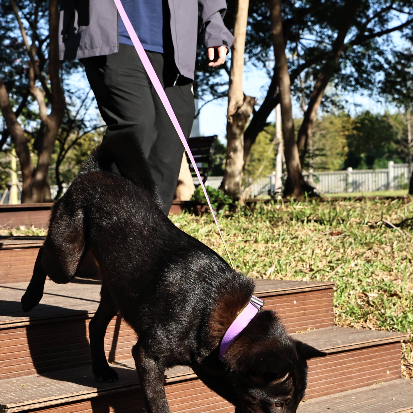 Maison Côte — Honeycomb Grip Leash Set