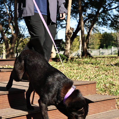 Maison Côte — Honeycomb Grip Leash Set