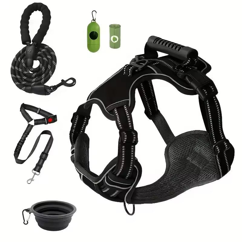 Maison Expedition — Complete Travel Harness Kit