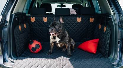 Maison Prestige — 8-Layer Armored Seat Hammock