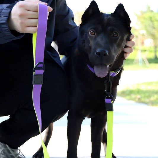 Maison Côte — Honeycomb Grip Leash Set
