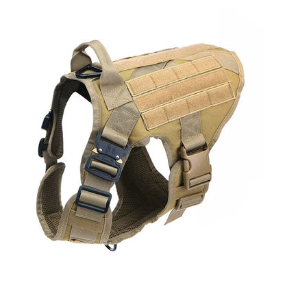 Maison Stealth — Camo Harness & Leash Set