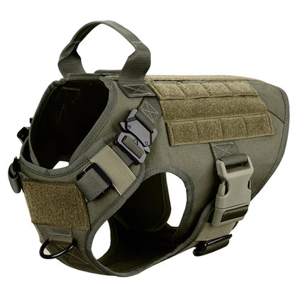 Maison Stealth — Camo Harness & Leash Set