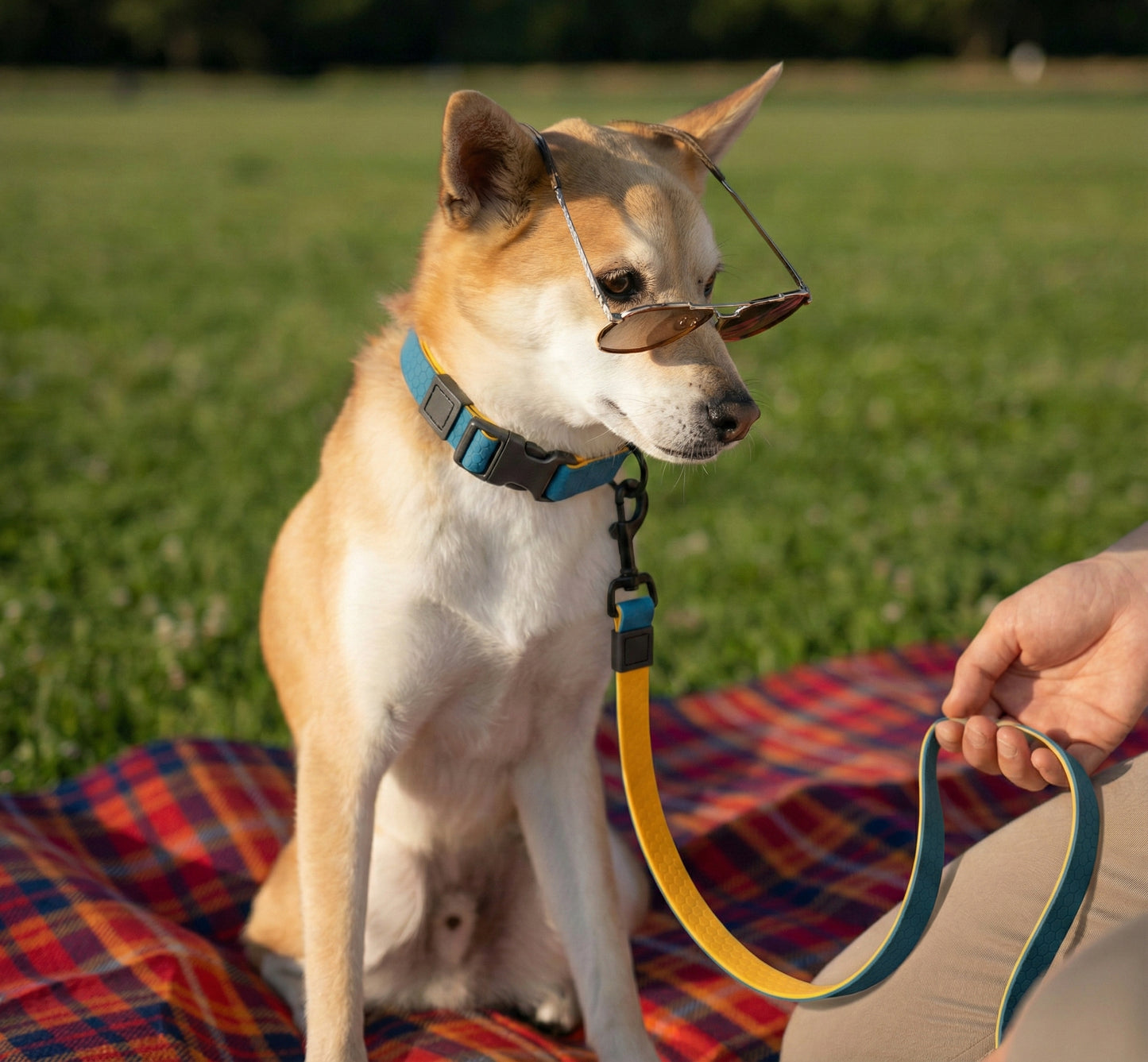 Maison Côte — Honeycomb Grip Leash Set