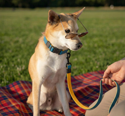 Maison Côte — Honeycomb Grip Leash Set
