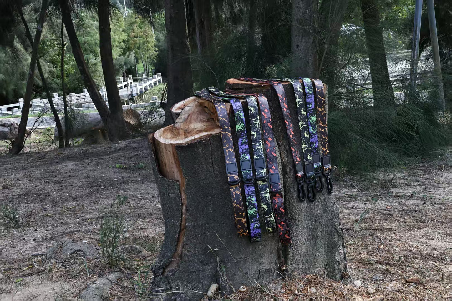 Maison Terrain — Camo Print Outdoor Leash Set