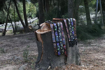 Maison Terrain — Camo Print Outdoor Leash Set