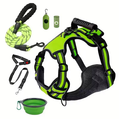 Maison Expedition — Complete Travel Harness Kit