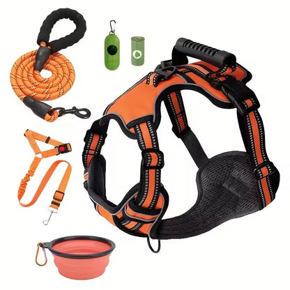 Maison Expedition — Complete Travel Harness Kit