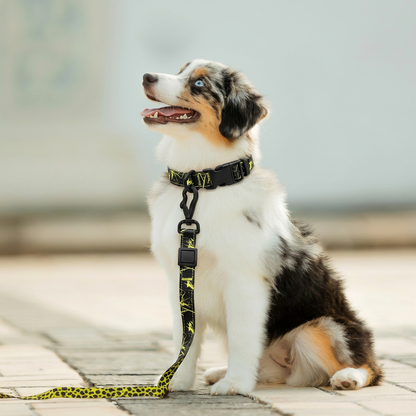 Maison Terrain — Camo Print Outdoor Leash Set