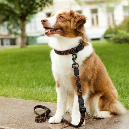 Maison Terrain — Camo Print Outdoor Leash Set